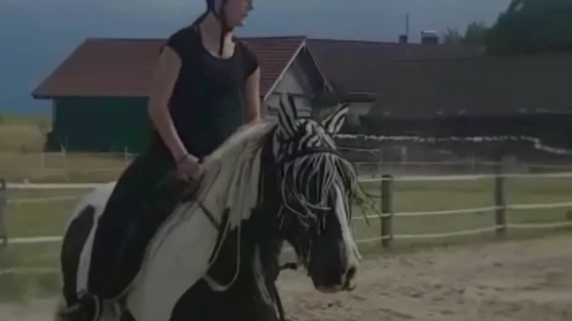 Antonia Kolano | Horse riding